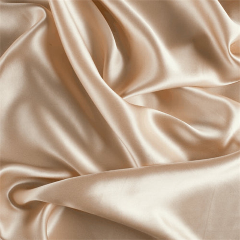 Runway Silks Champagne Stretch Silk Charmeuse Fabric – Reorderable