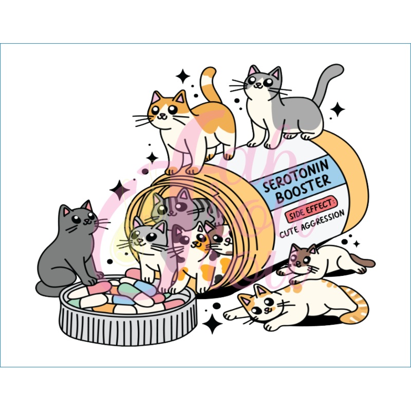 Cats Serotonin Booster Rx Magnet