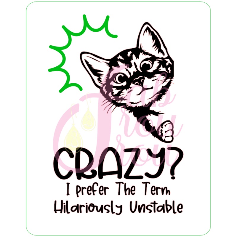 Crazy Unstable Cat Magnet