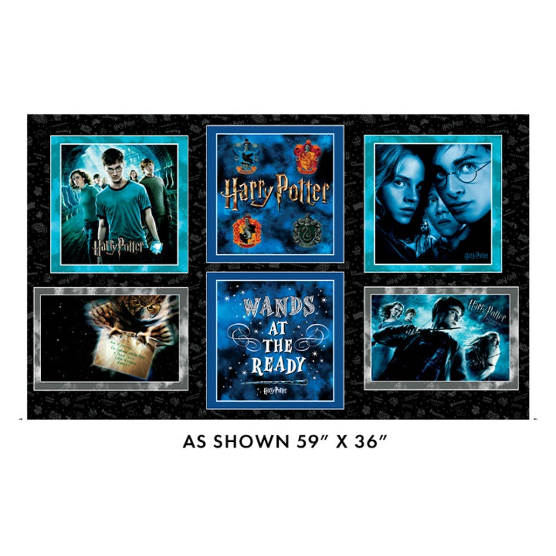Harry Potter 36″ Pillow Panel